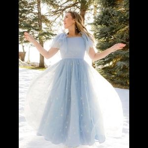 Ivy City Co Jayne Dress XS